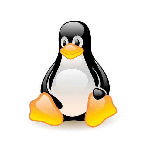 Cursuri Linux Acreditate: Începători Avansați Scripting Development